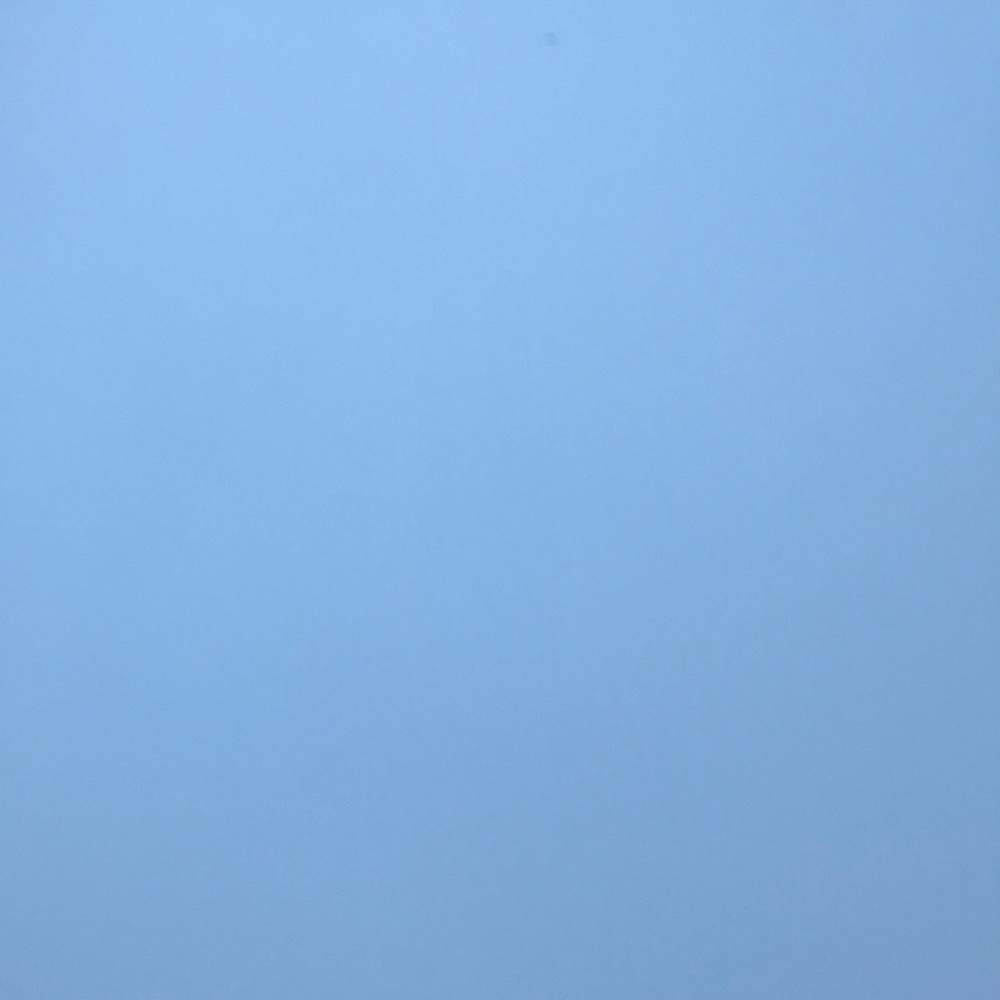 Meet your Posher, Manelle